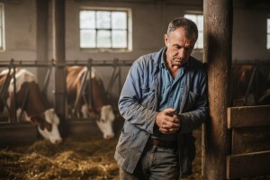 U mjesec i pol dana 1.500 mljekara manje