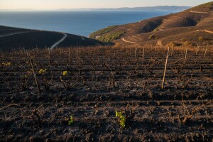 U očekivanju novca iz Fonda solidarnosti