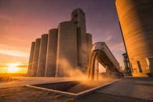 U otkup pšenice uključen i EBRD