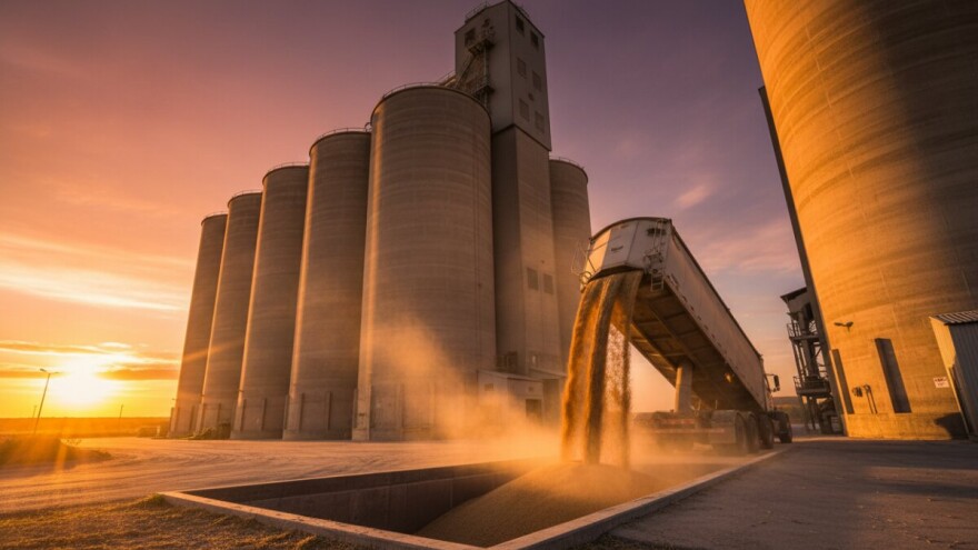 U otkup pšenice uključen i EBRD