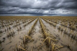 U poplavama uništeni deseci tisuća hektara usjeva!