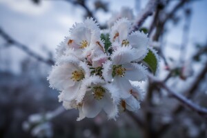 U Požeškoj županiji proglašena elementarna nepogoda