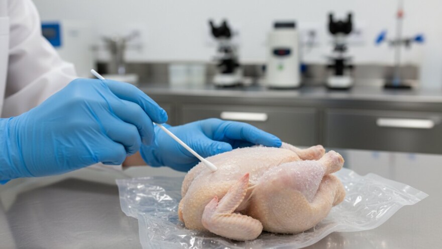 U smrznutoj piletini pronađena salmonela