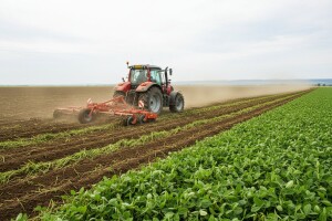 U Sremu i Mačvi otkrivena GMO soja