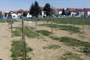 Voće dostupno svima: U Varaždinu posađen prvi javni voćnjak