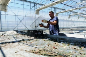 Možete se osigurati od pada aviona, ali ne i od tuče. Ne znam kakva nas budućnost čeka
