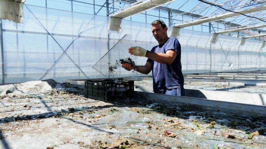 Možete se osigurati od pada aviona, ali ne i od tuče. Ne znam kakva nas budućnost čeka