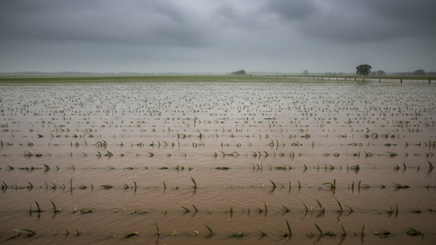 U Virovitičko-podravskoj županiji proglašena elementarna nepogoda!