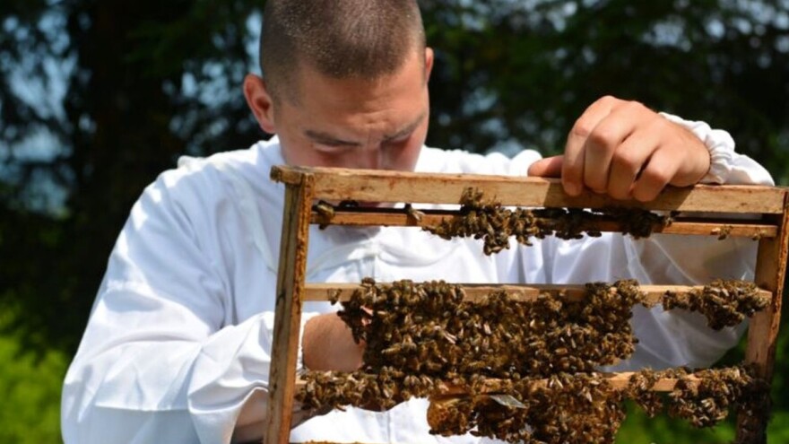Dvije uniforme Borisava Petrovića - u obje se zna ko je glavni
