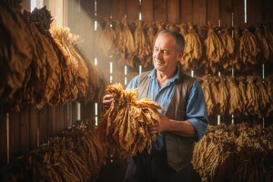 Ubrani duhan vrijedan 135 milijuna kuna