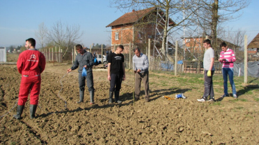 Na školskoj parceli sade povrće i 60 sorti voća!