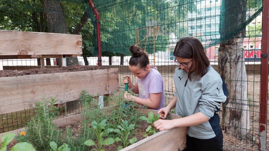 Učenici i nastavnici zasadili baštu i od plodova napravili zimnicu