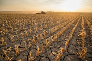 Učešće poljoprivrede u bruto domaćem proizvodu