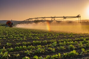 Učinkoviti sustavi za navodnjavanje