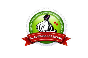 Osnovana Udruga proizvođača češnjaka Slavonije i Baranje "Slavonski češnjak"
