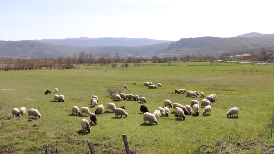 Kreće petogodišnji projekt obnove 560 hektara travnjaka na području Krke, Cetine, Svilaje i Dinare