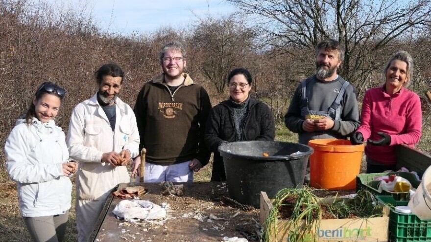 Brsečki česan: Najpikantniji češnjak kao atraktivan suvenir za 150 kn za kilogram