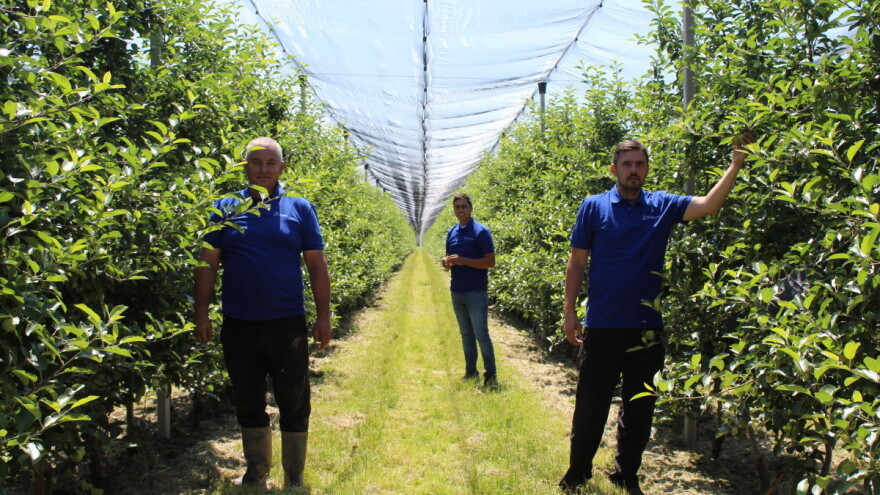Voćari Crovite: Tla su kisela, a voćke teško usvajaju fosfor i kalij