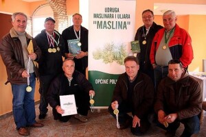 Briševački maslinari