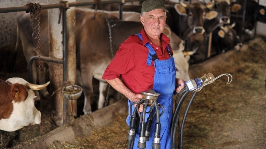 Nestalo 55.000 OPG-a u proizvodnji mlijeka!