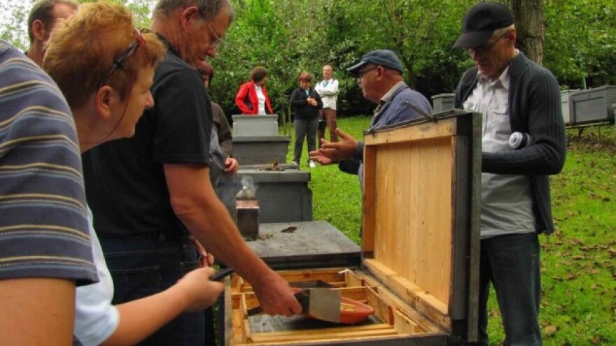 Prevencija i liječenje bolesti proizvodima od meda