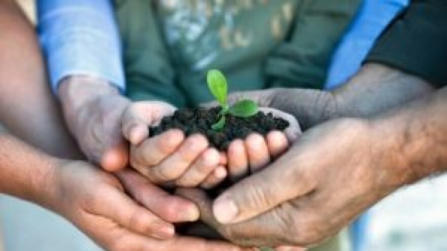 Još jedna u nizu od 500 udruga ili spas za OPG?