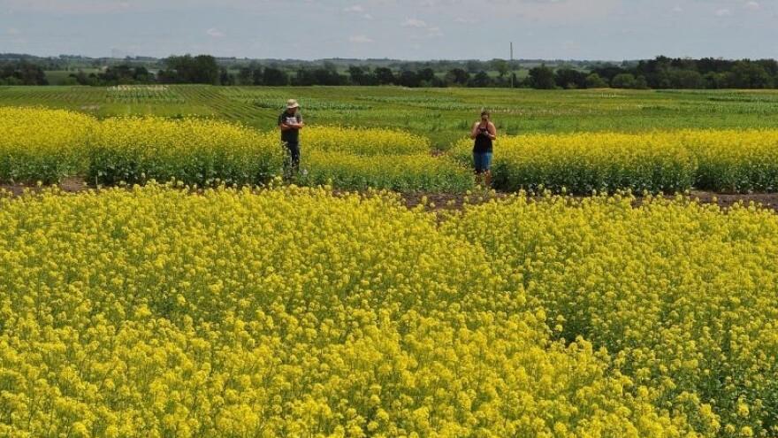 Poljoprivredne zadruge danas i sutra