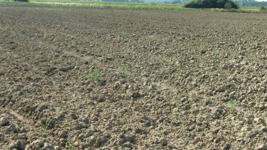 Korov prijeti tisućama hektara pod ugarom!