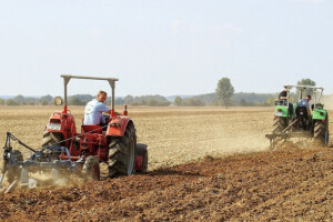 Ljuštenje strništa - važna agrotehnička mjera