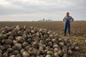 Ugovaranje proizvodnje repe
