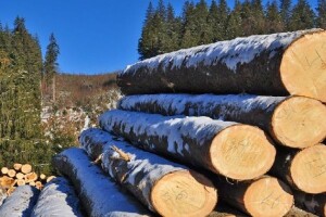 Dogovorena isporuka drvnih sortimenata za 2015.