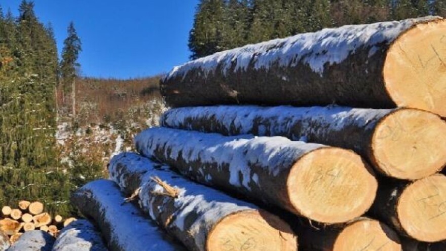 Dogovorena isporuka drvnih sortimenata za 2015.