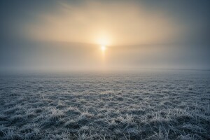 Ujutro mraz i magla, popodne oblačno sa kišom