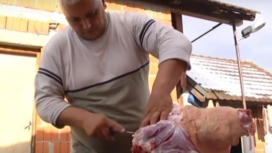 Ukradenu svinju zaklali u vlasnikovu dvorištu