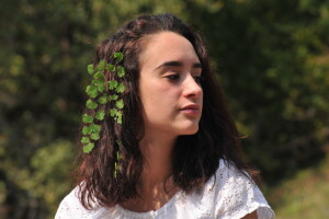 Vilina vlas - endemska paprat koja raste u višegradskoj banji