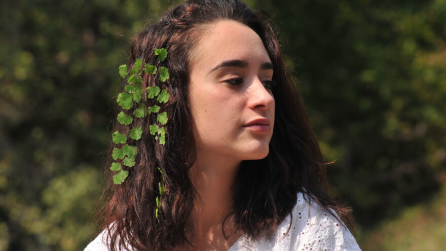 Vilina vlas - endemska paprat koja raste u višegradskoj banji