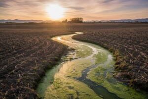 Ulaskom u EU - Pravilnik o dobroj poljoprivredi