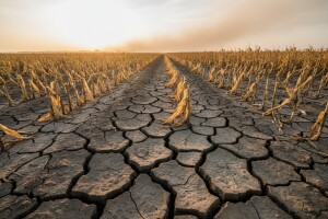Ulažemo milijune, a suša i dalje jede našu hranu