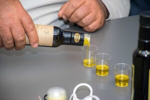 Prijavite se na 19. međunarodnu smotru maslinara i uljara Ulika 2024