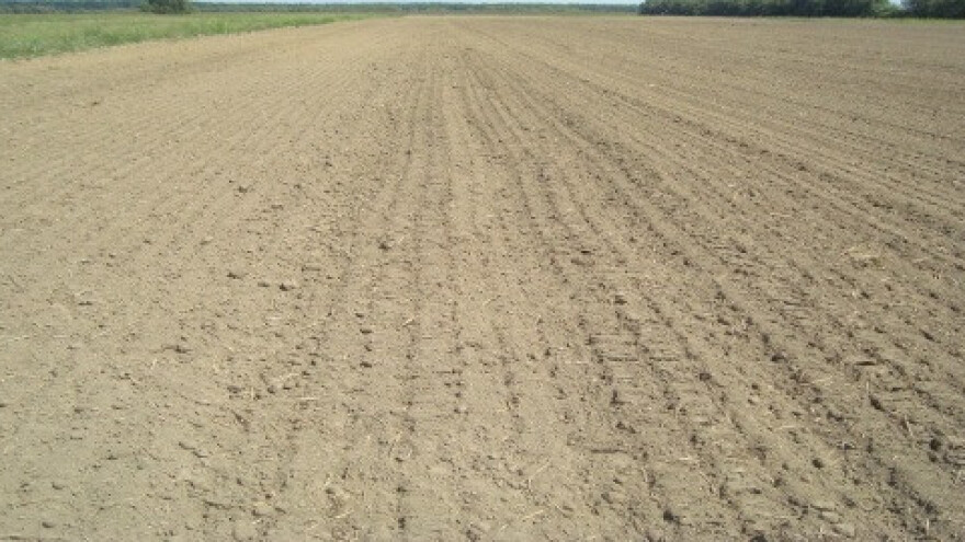 Obrada hidromorfnih zemljišta