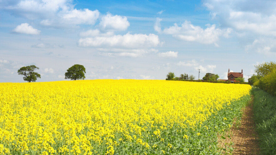 Ratari, jeste li spremni za sjetvu uljane repice?