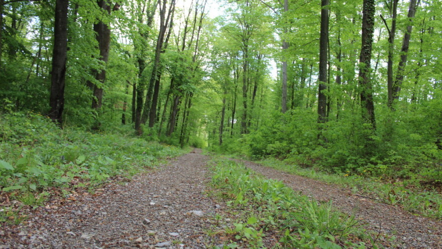 Objavljen novi Natječaj: Za šumske prometnice 60 milijuna kuna