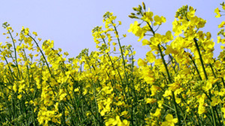 Brazda: Niže cijene zakupa ili novi natječaj