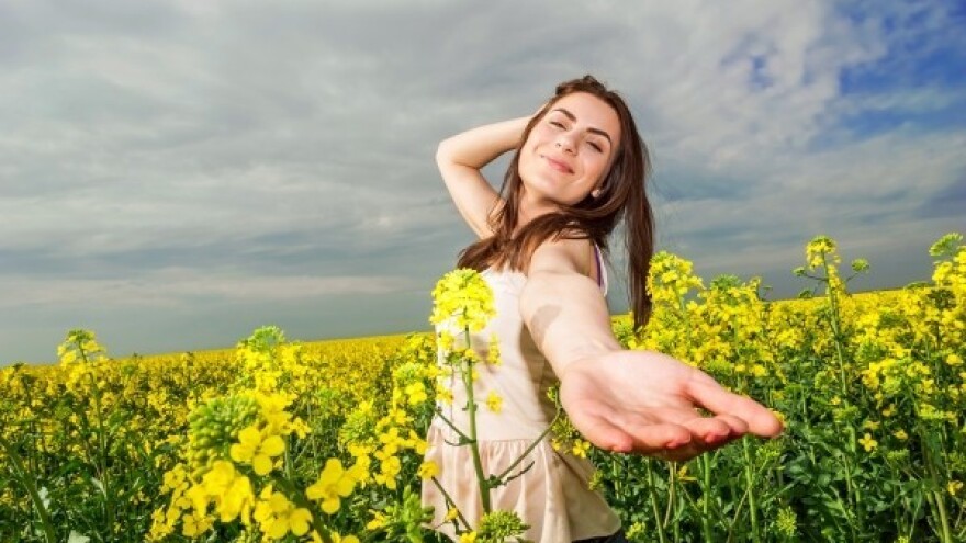 Velika potražnja za sojom - buja i uljana repica!