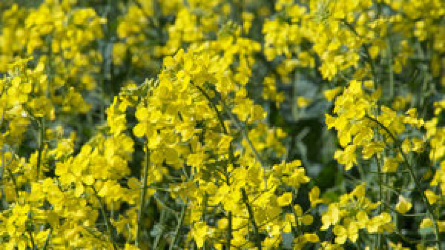 Obavijest ratarima o provedbi zaštite