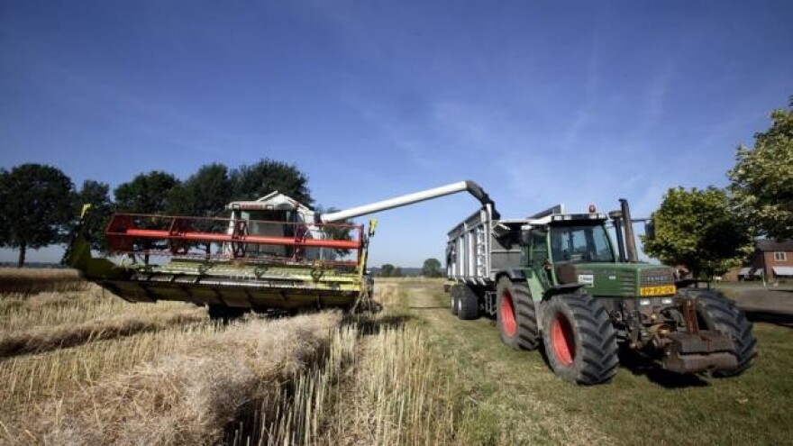 Očekuje se profit tržišta biljnih ulja!