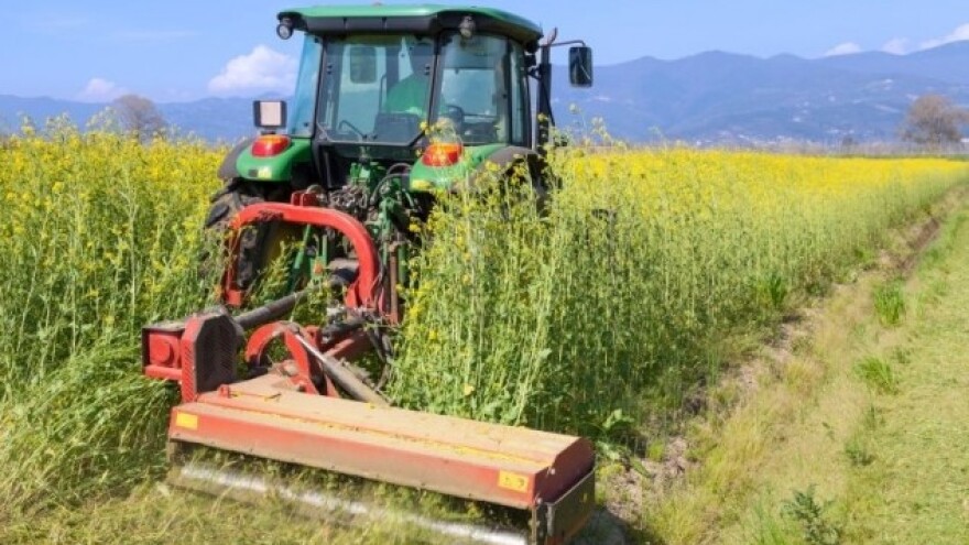 Ključni tržišni konkurenti s Crnog mora