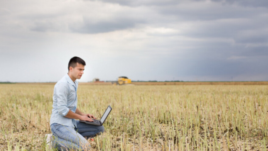 Nizak sadržaj ulja u repici nadoknadit će soja