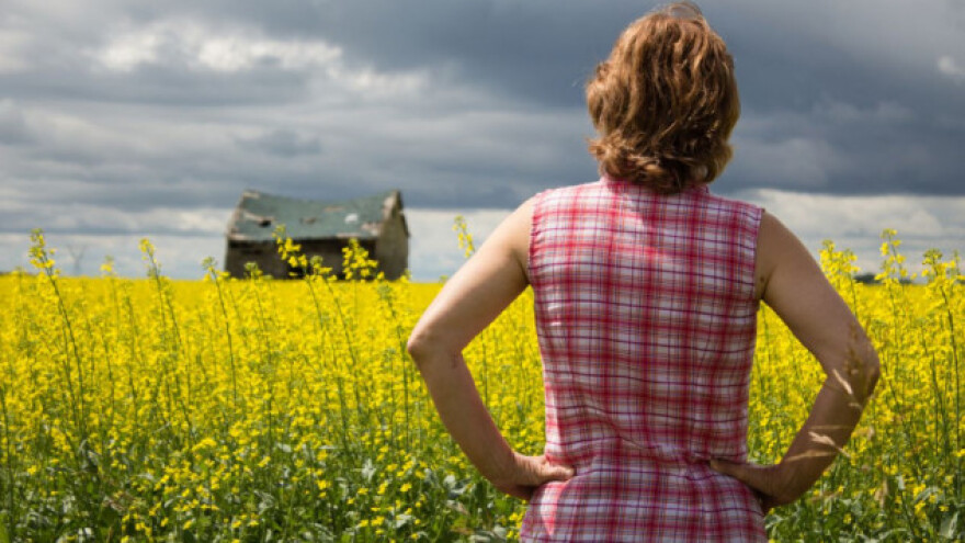 Soja obećava, cijene uljane repice padaju