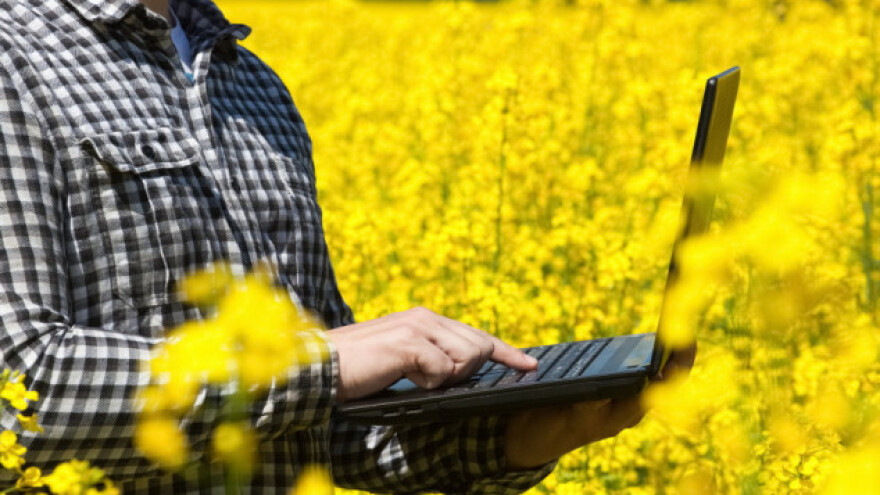 Cijene uljarica rastu unatoč zalihama